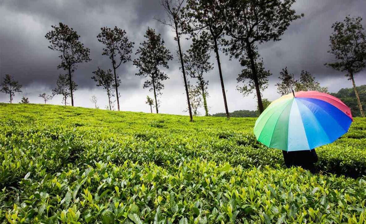 top 10 places to visit in monsoon, best places to visit in india in monsoon, Monsoon places in india